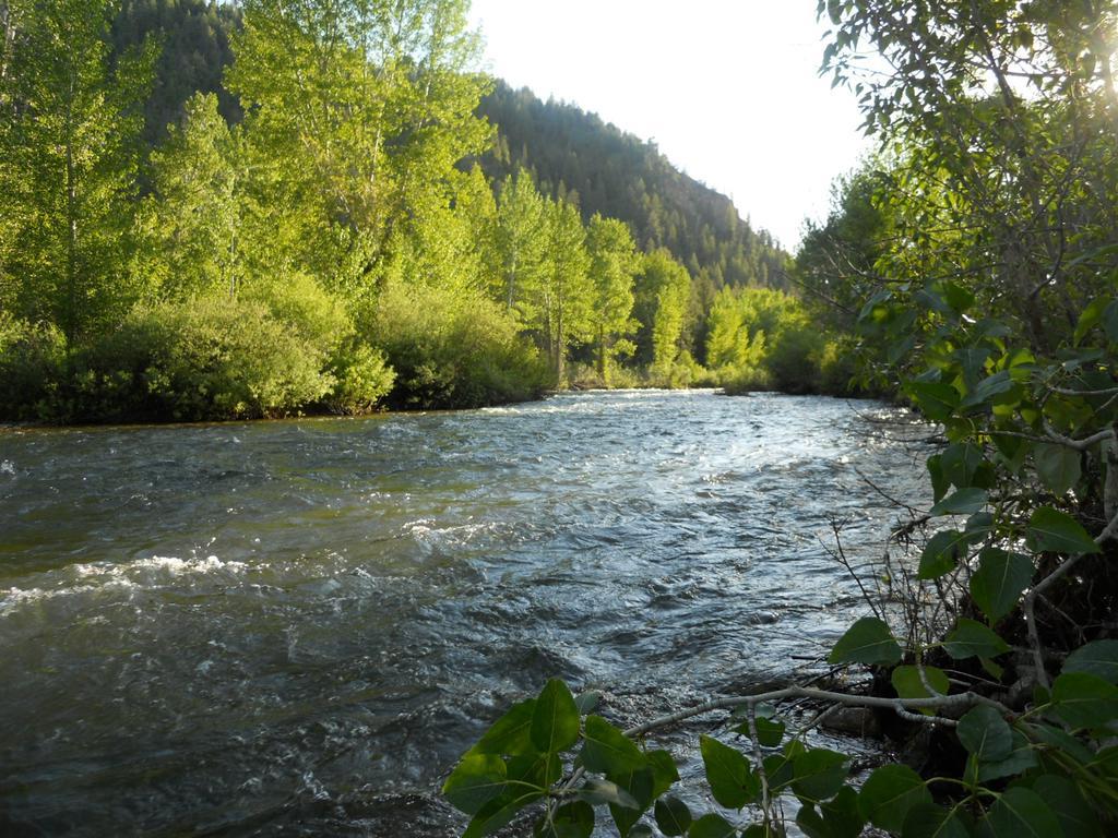 Wood River Inn & Suite Хейли Экстерьер фото